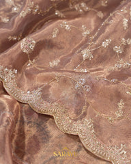 Exclusive Champaign Shade Hand-worked Pure Organza Saree
