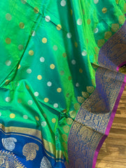 Exclusive Kanchi Pattu saree