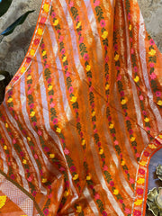 Orange Zari Kota