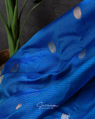 Blue and Pink Color Combination Double Weave Gadwal Pattu