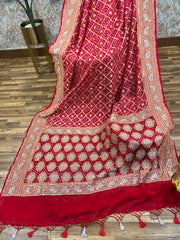 Pure Banarasi Georgette Hand embroidered Exclusive Saree