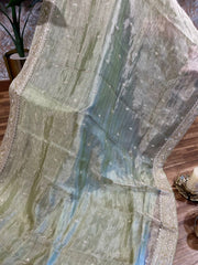 Pastel Green Tissue Handloom Handworked Organza Saree