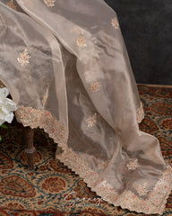 Beige Pure tissue Organza With Handworked Borders Comes With Running Blouses with Handwork Design !!
