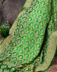 Parrot Green and Dark Green Combination Pure Banarasi Georgette
