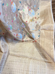 Beige Fancy Tissue Silk