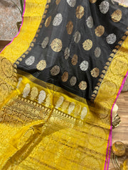 Double-Wrap Kanchi Border Gadwal Saree