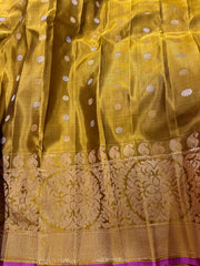 Double-Wrap Kanchi Border Gadwal Saree