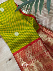 Stunning Double Weave Gadwal Pattu