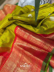 Stunning Double Weave Gadwal Pattu