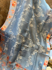 English Grey Pure Organza Fancy a saree