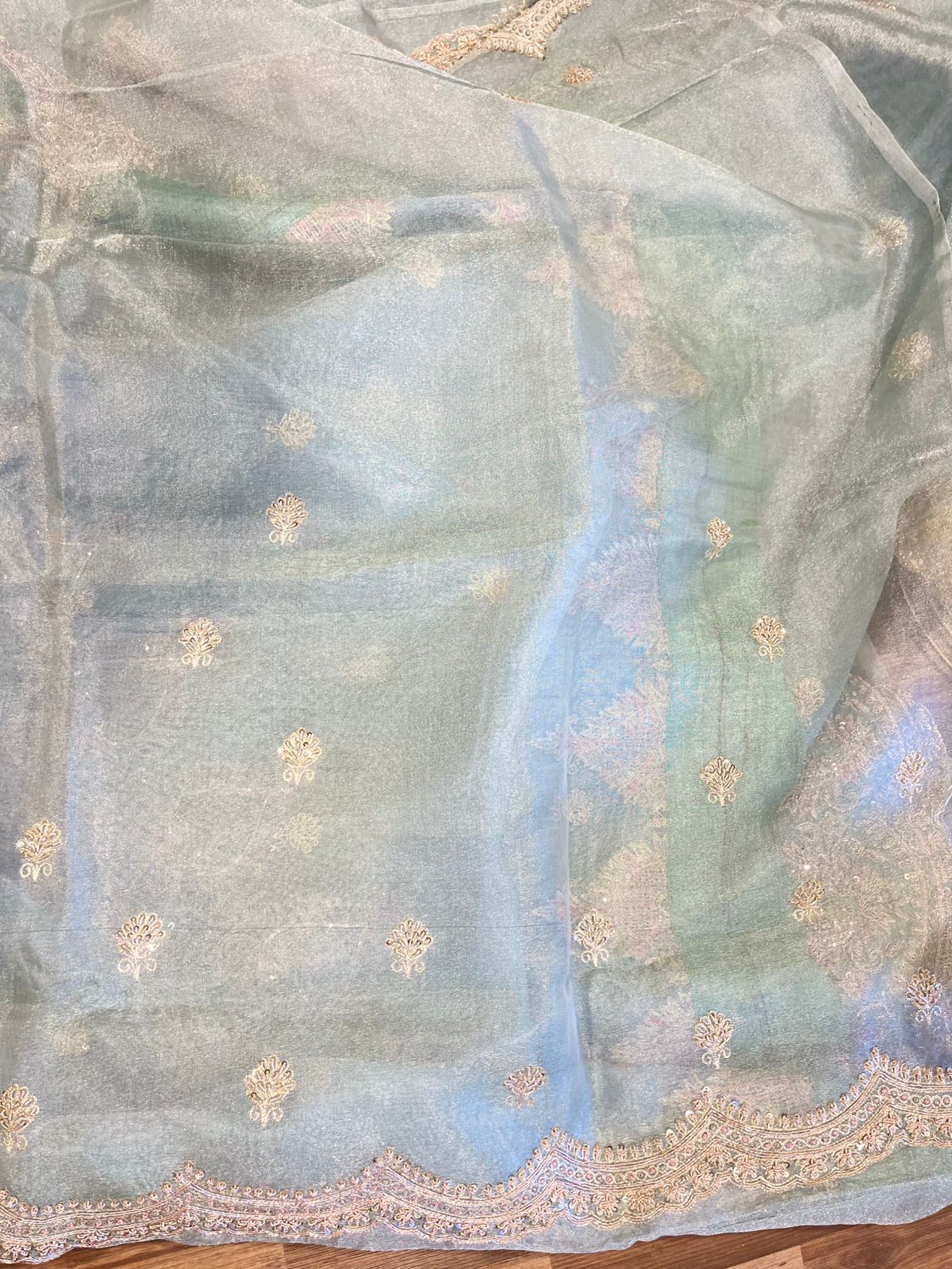 Powder Blue Handloom Handworked Organza Saree