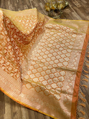 Orange Kalanetha Banarasi Katan Silk